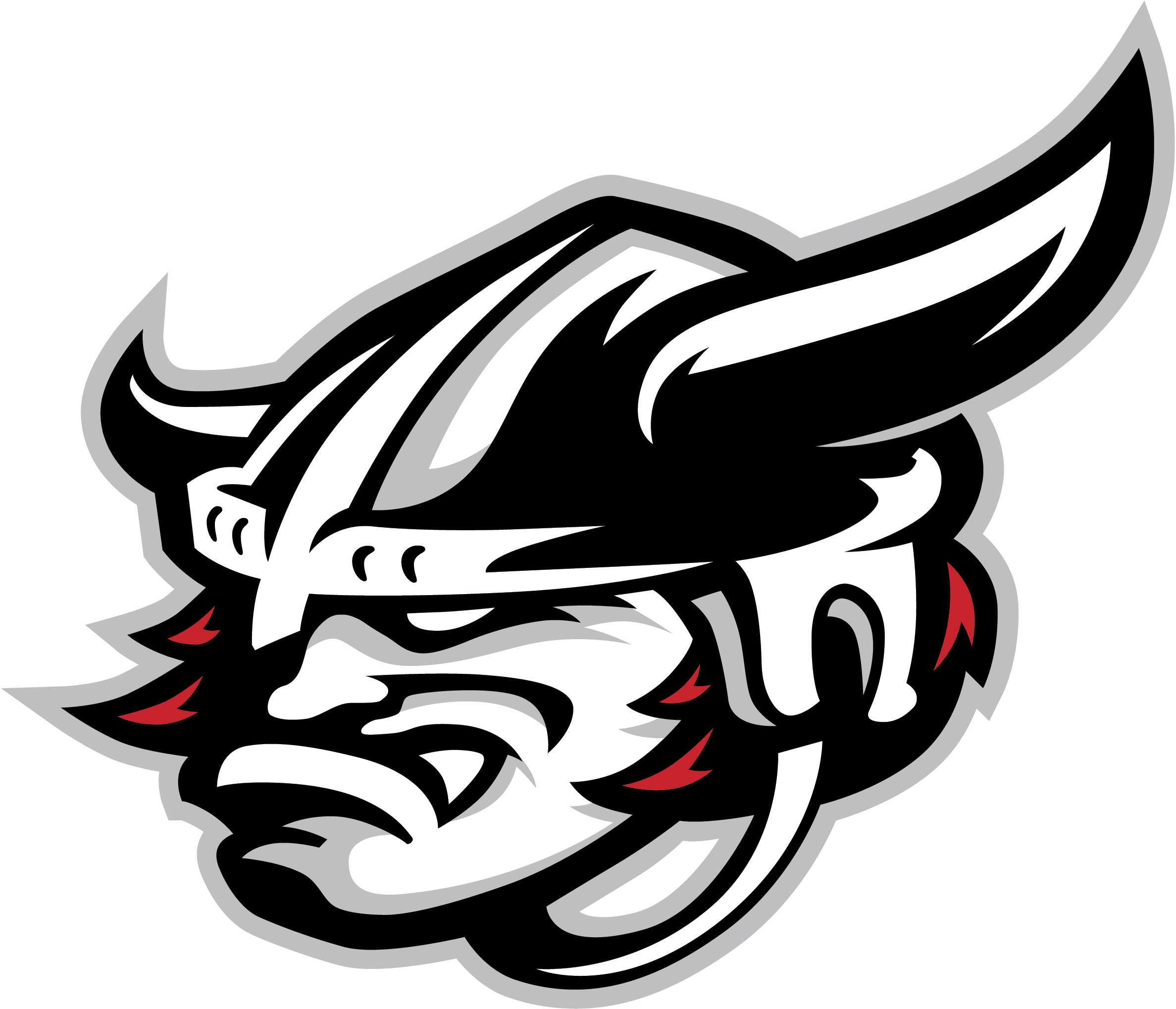 Jr Raiders True Hockey Challenge Tournament Logo